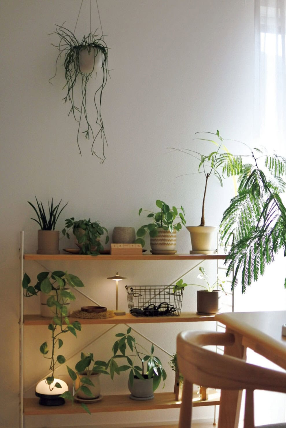 やさしいオレンジ色の光が気持ちを穏やかにさせてくれます。