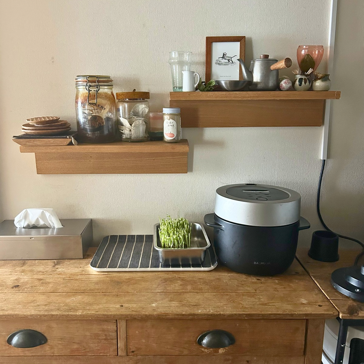 キッチンアイテムと一緒に壁付け棚に雑貨やポストカードを飾った様子