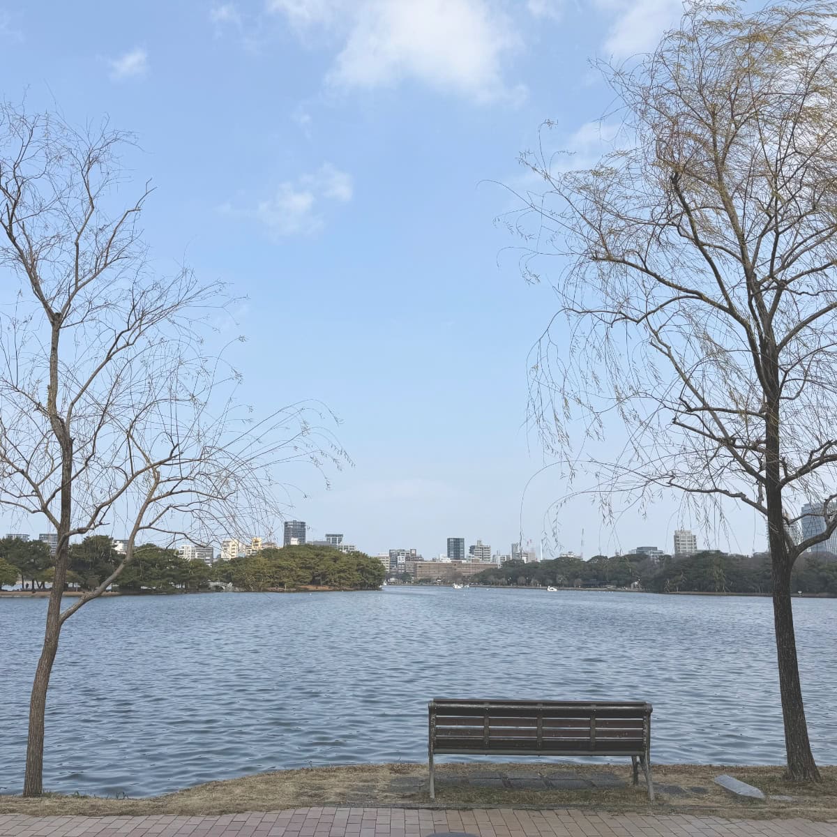大濠公園の池