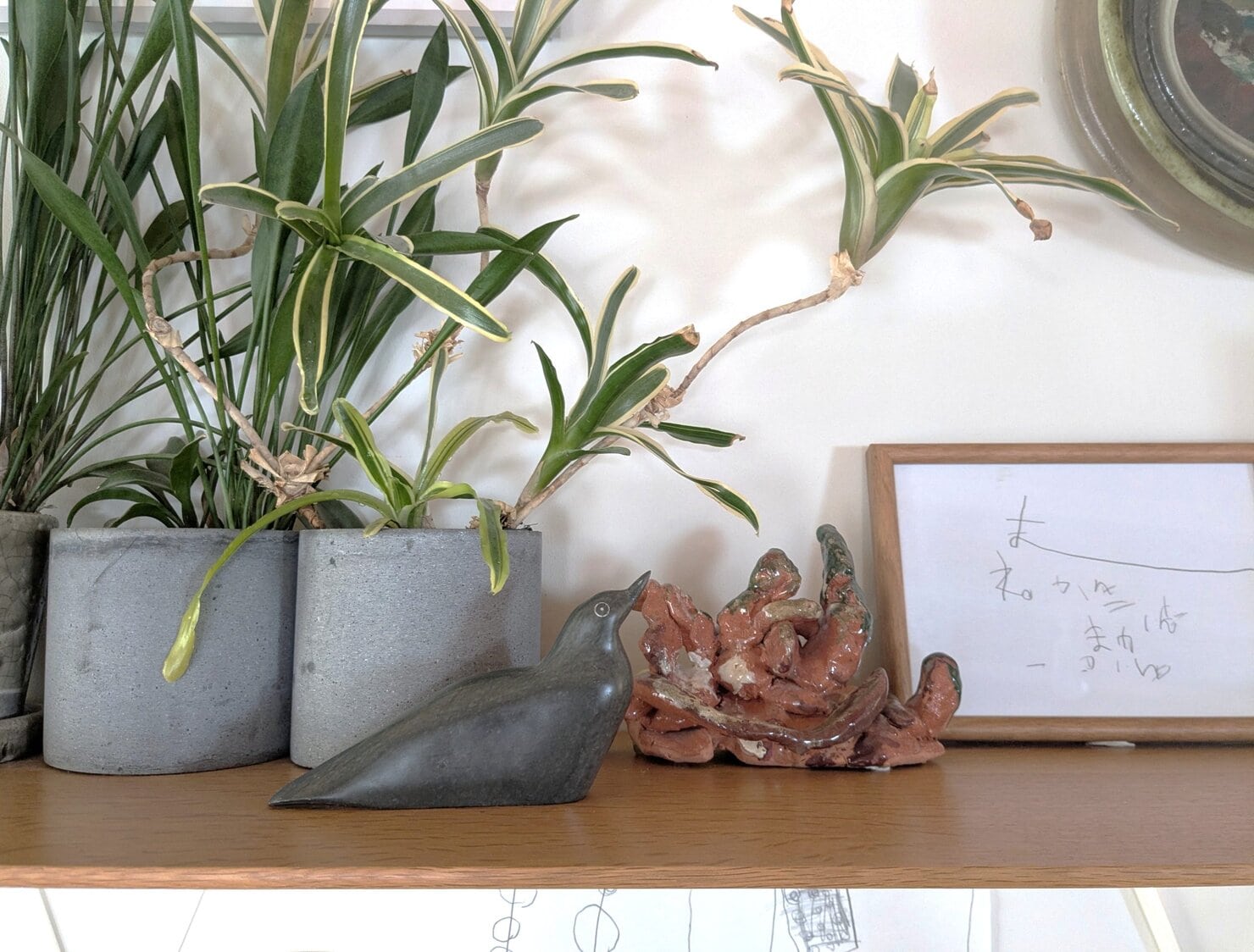 観葉植物と一緒に飾っているアイヌのオットセイの置物