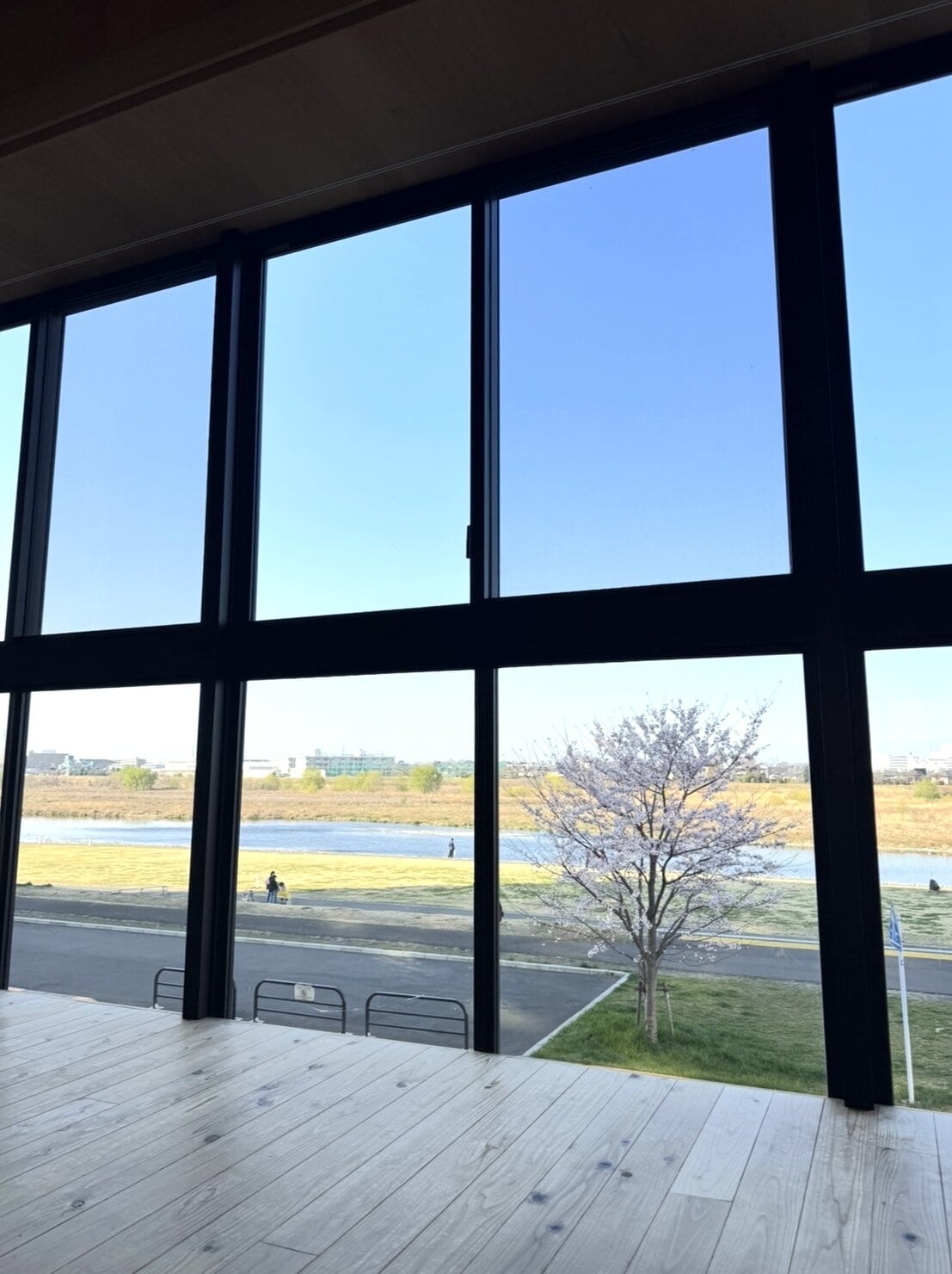 ヨガスタジオの窓からの眺め