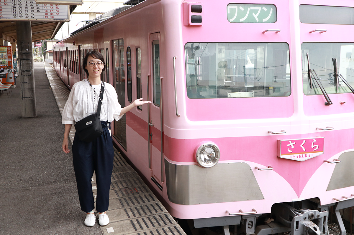 流鉄流山線(さくら号)