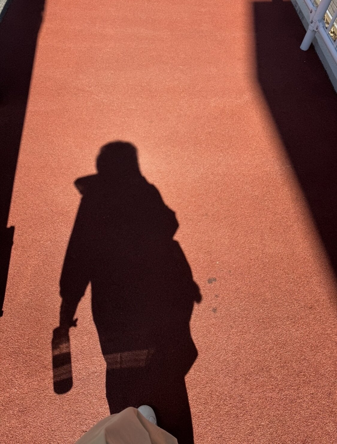 散歩している影