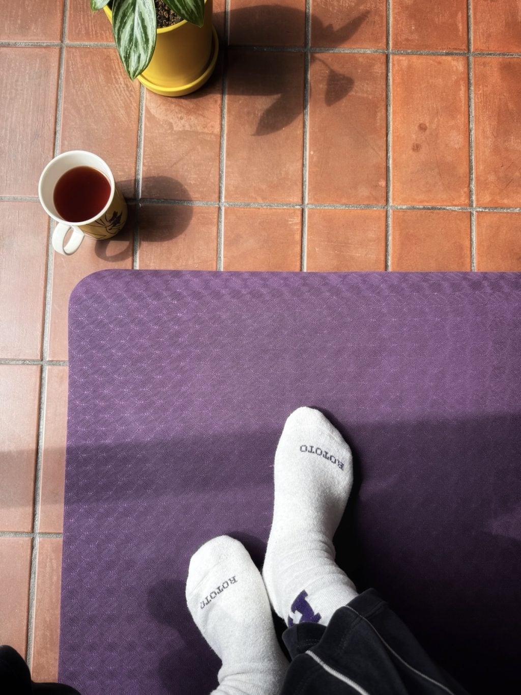 整えるって、がんばることじゃない。ヨガや散歩、ストレッチ…自分との対話で見つける、私の心と体との向き合い方