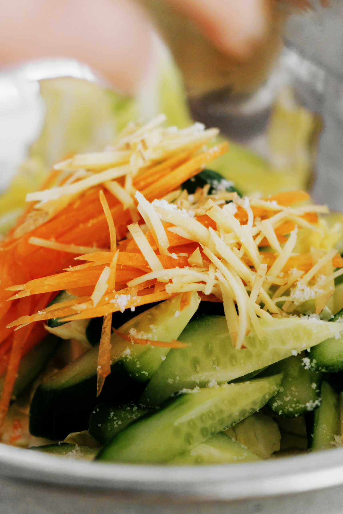 塩だけでおいしい浅漬け