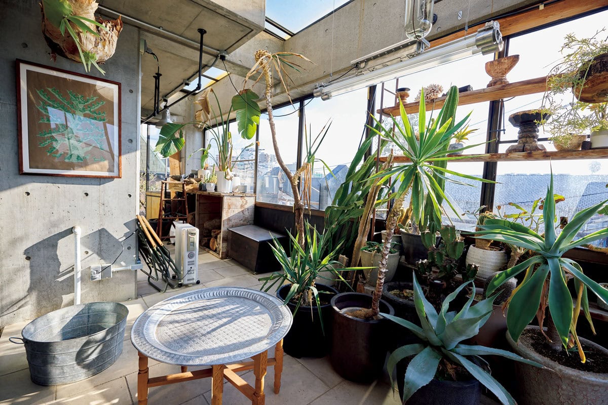 窓際の一角にある植物を育てるためのサンルーム。