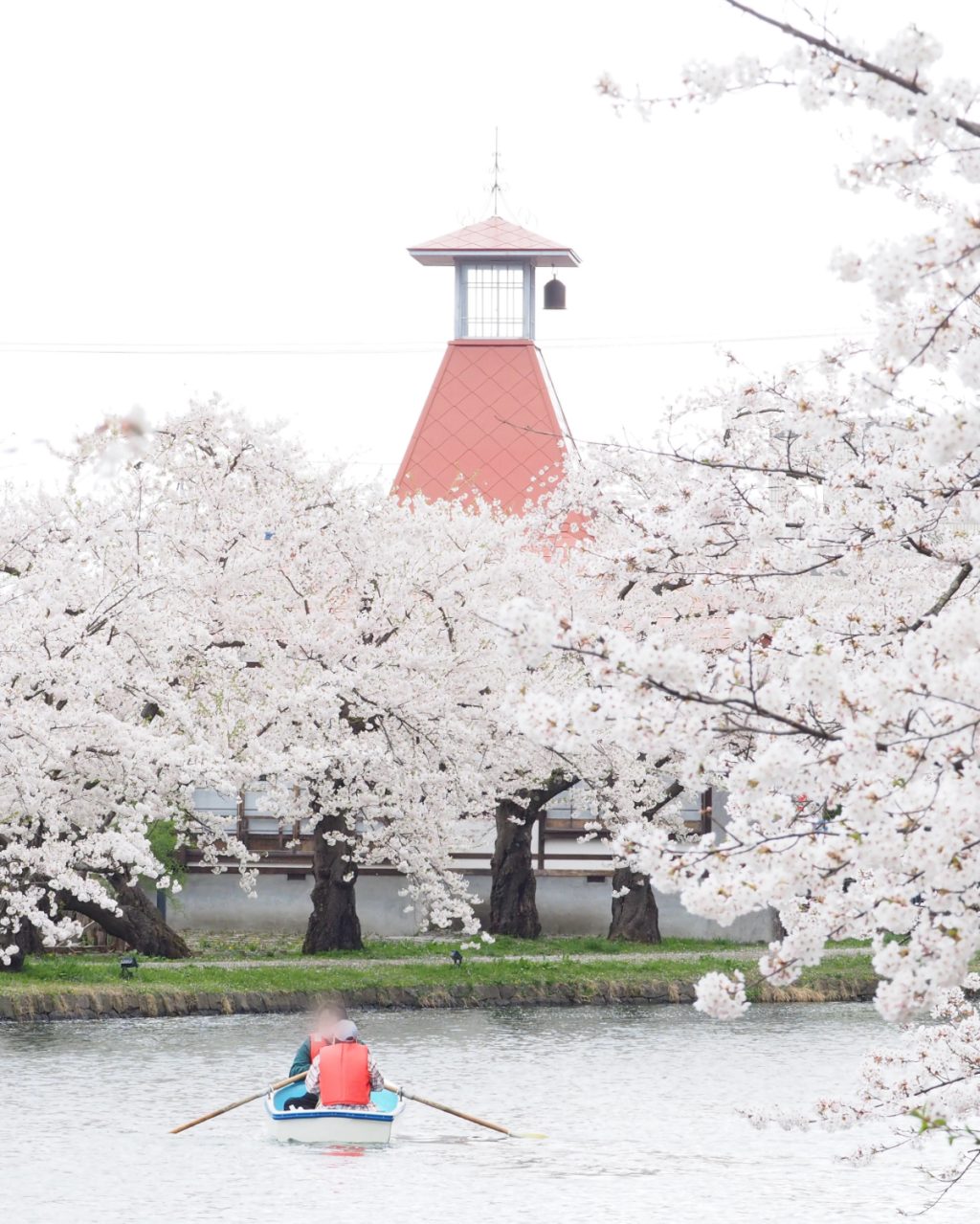【私の偏愛青森旅】 今が見頃、弘前公園の桜は絶景。食堂・古本・レトロ喫茶、好きがあふれる街歩き。