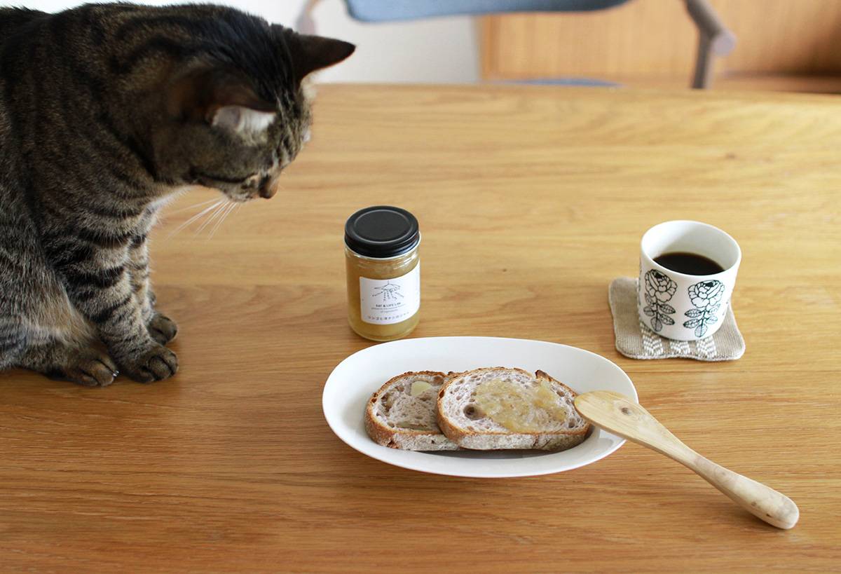 ユミコ イイホシ ポーセリンオーバル皿と、見つめる猫