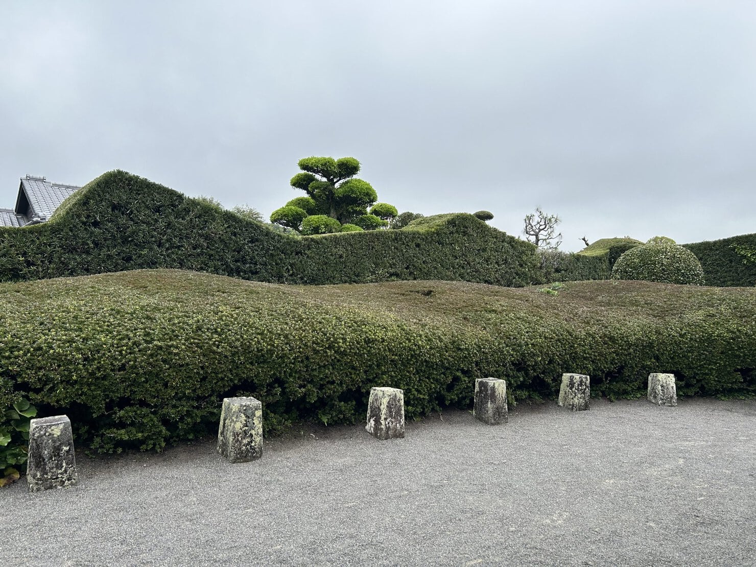 知覧武家屋敷の庭