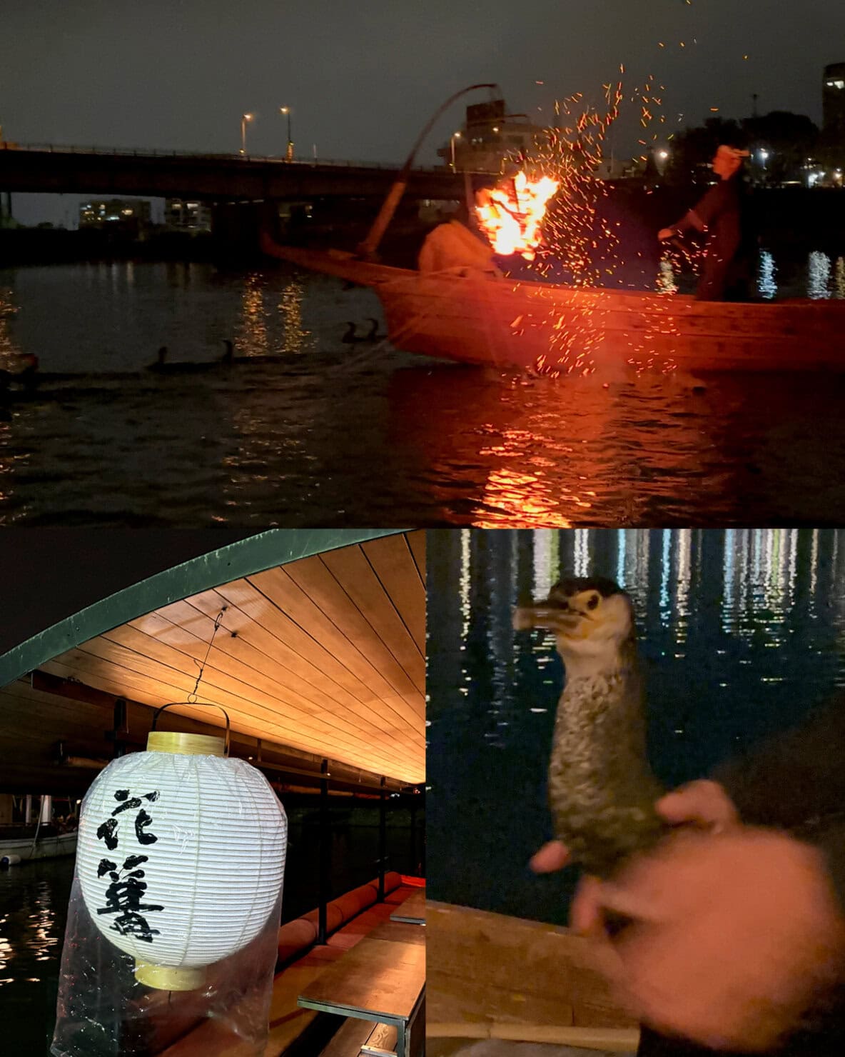 女子旅 岐阜県】 はじめての鵜飼観覧。ぎふ長良川で過ごす特別な夜