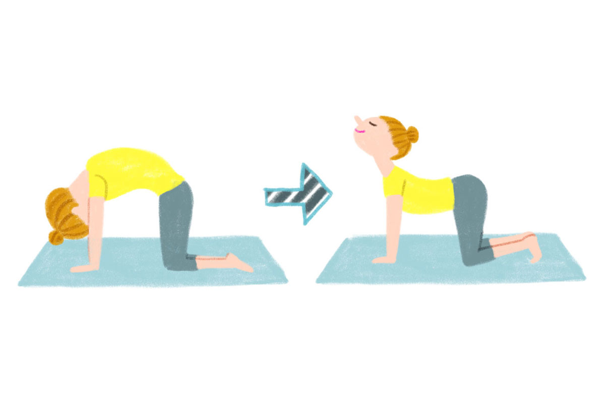 生理痛を和らげるヨガの猫のポーズ