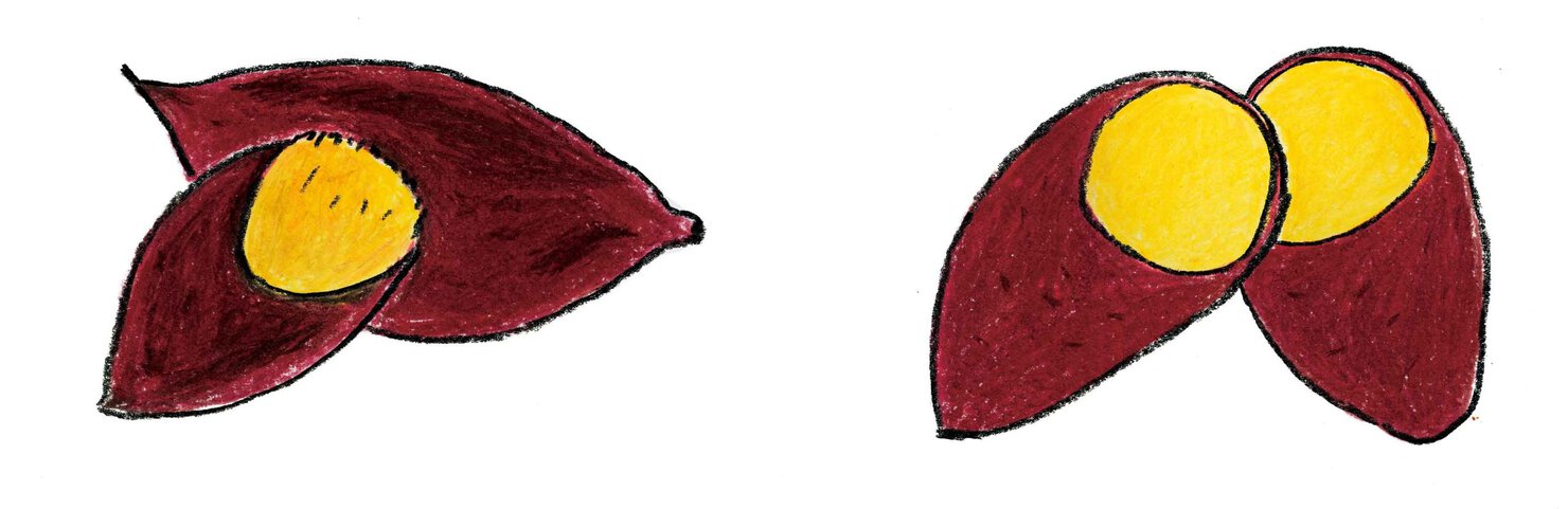 焼き芋とふかしいも、カロリーが低いのは?