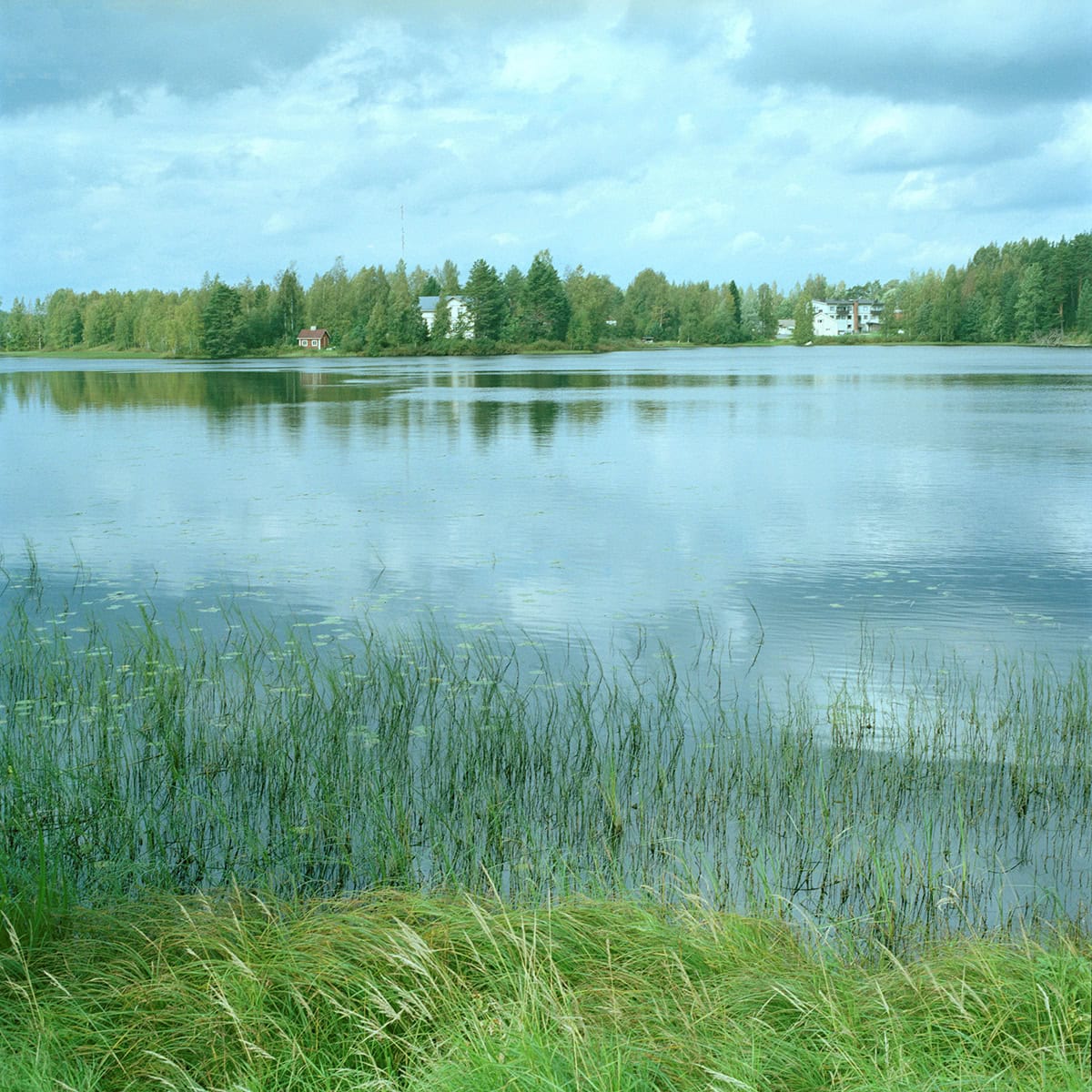 【tsukuru & Lin.】 フォトグラファー・かくたみほさんとつくる「フィンランドフォトTシャツ」水辺