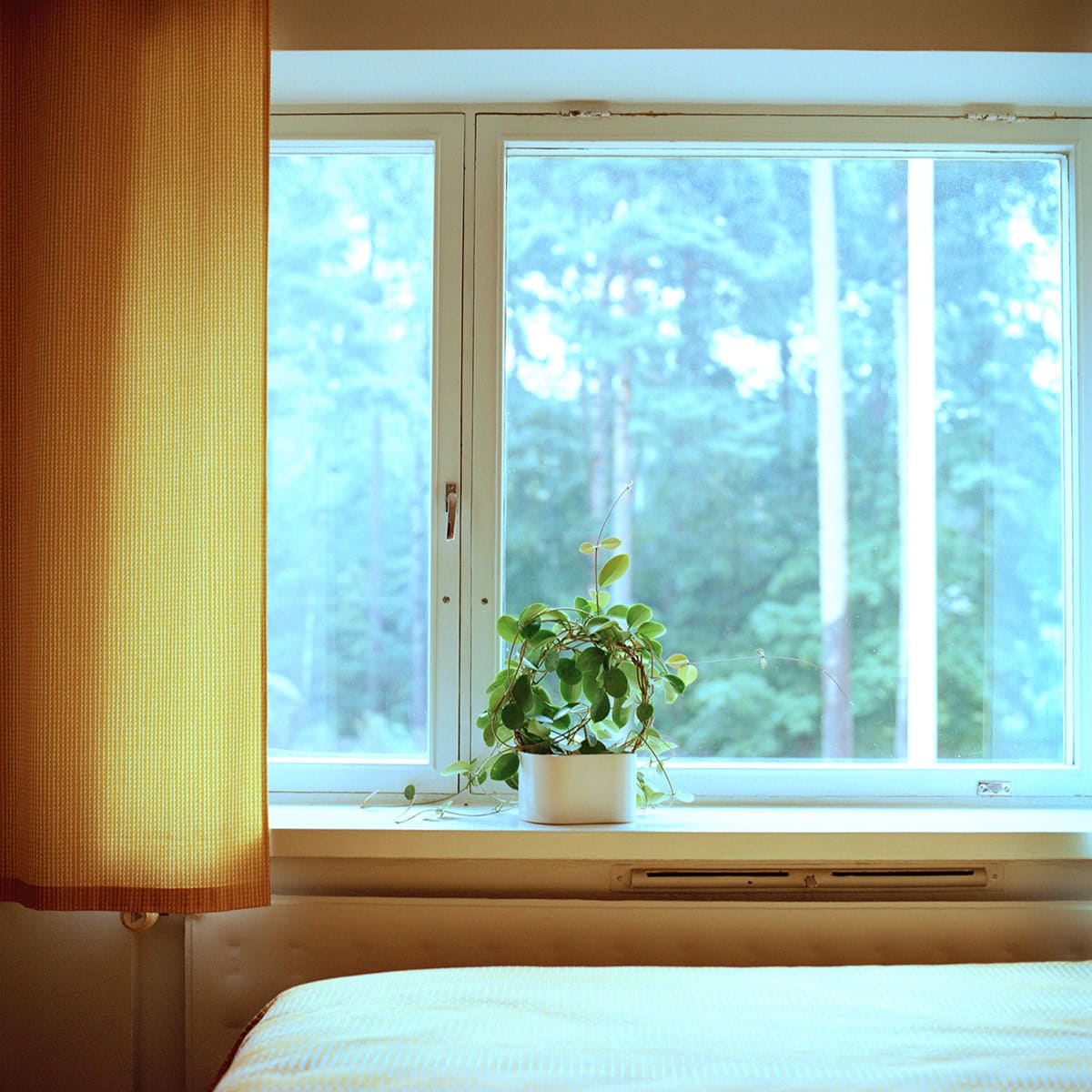 【tsukuru & Lin.】 フォトグラファー・かくたみほさんとつくる「フィンランドフォトTシャツ」スニラ