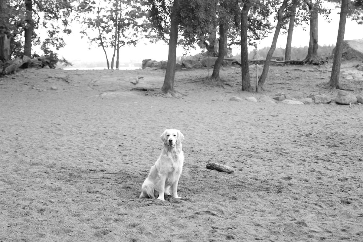 【tsukuru & Lin.】 フォトグラファー・かくたみほさんとつくる「フィンランドフォトTシャツ」コイラ