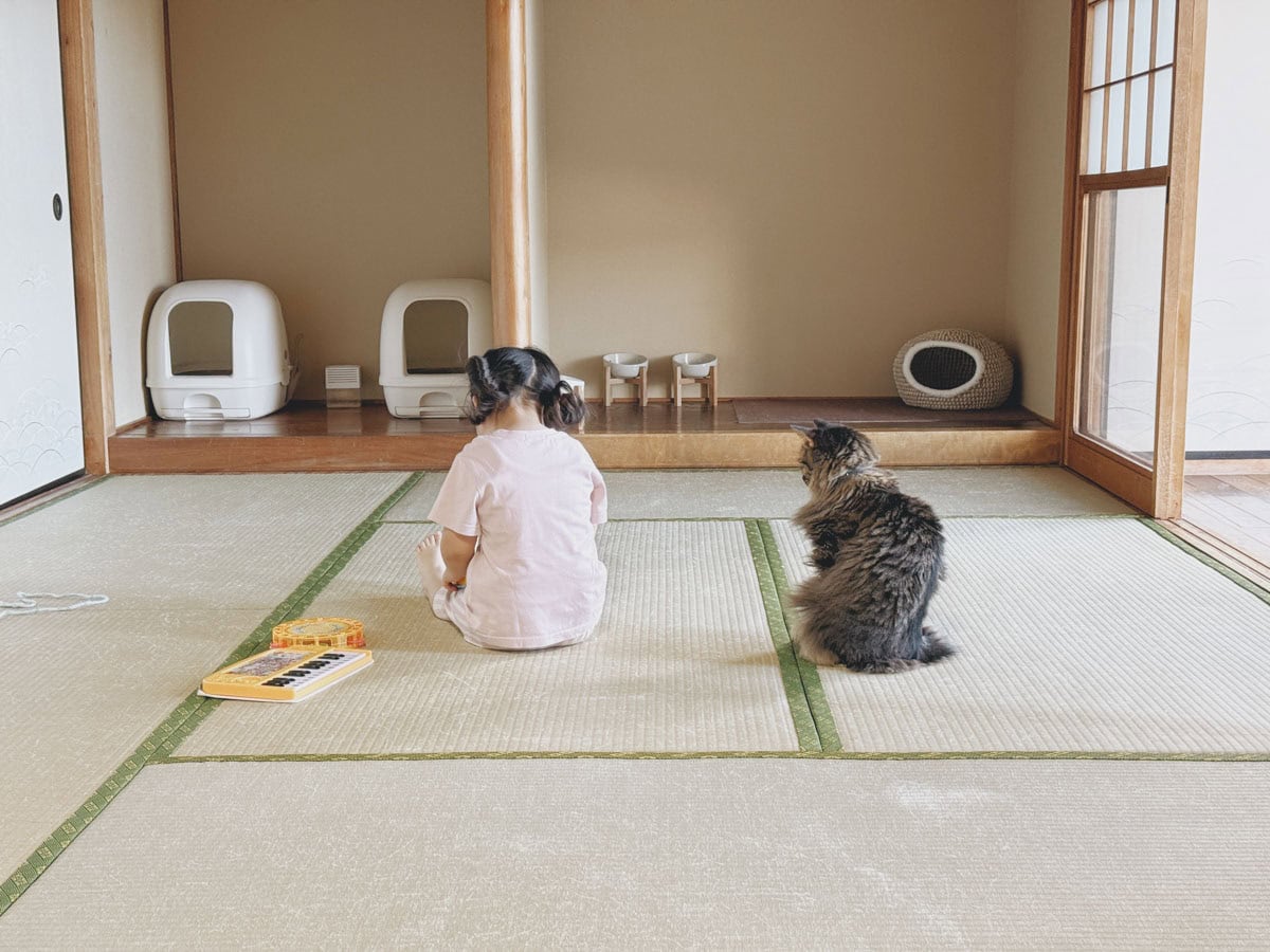 娘がねこに見守られている様子
