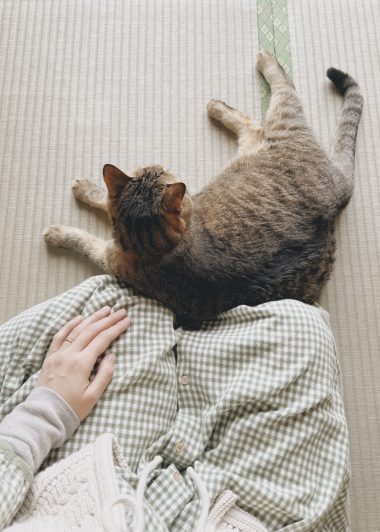 ねことくっついて、のんびりしている様子