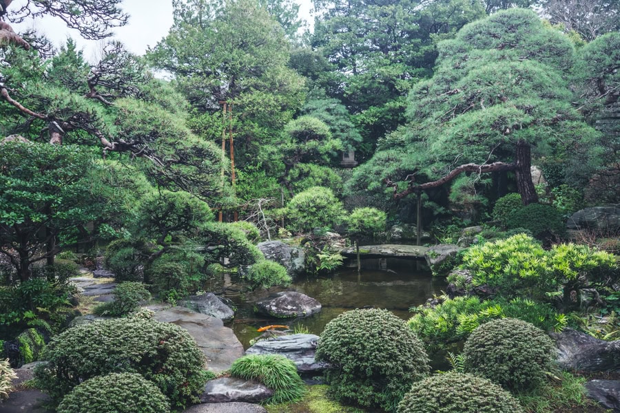 「山本亭」の美しい庭園