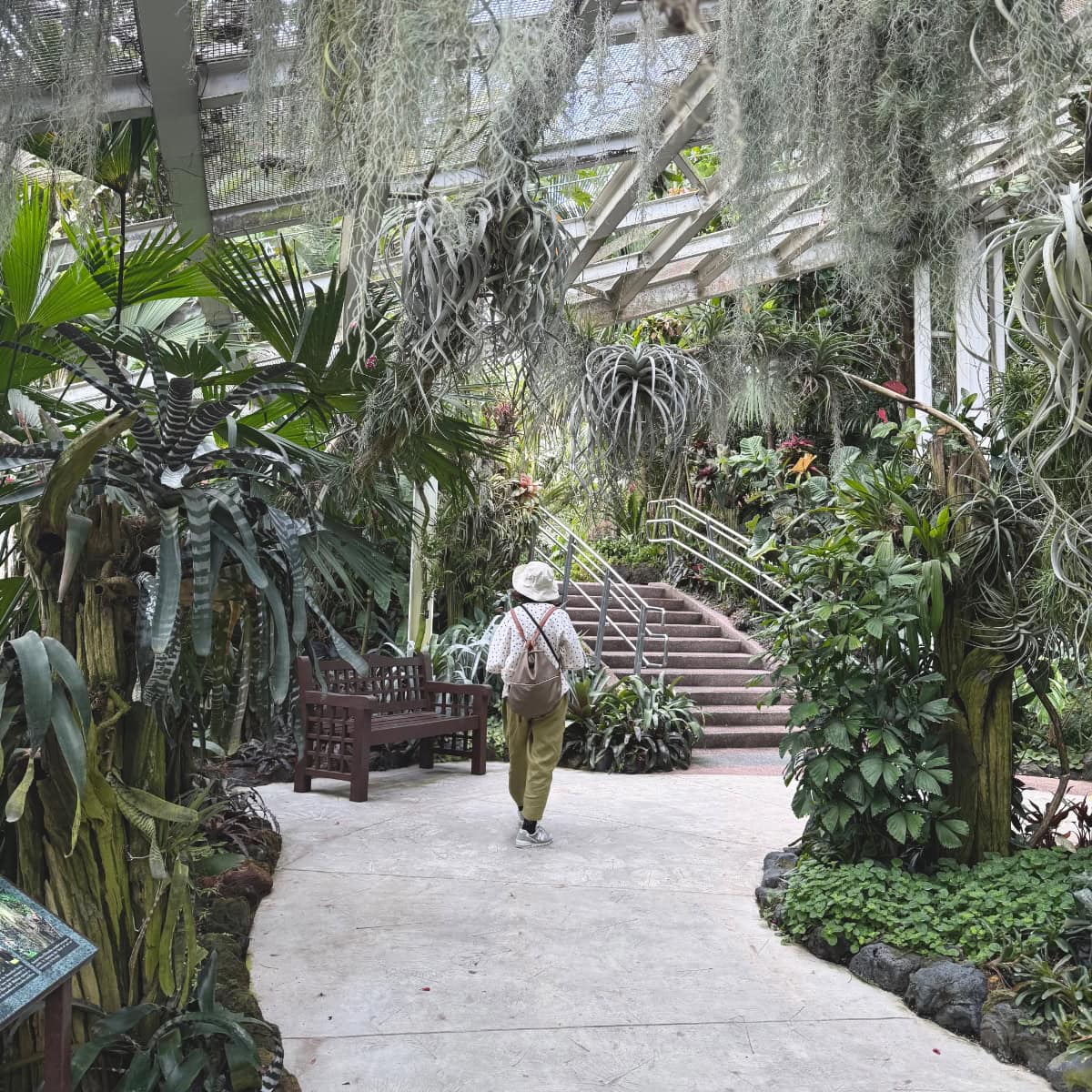 シンガポール植物園