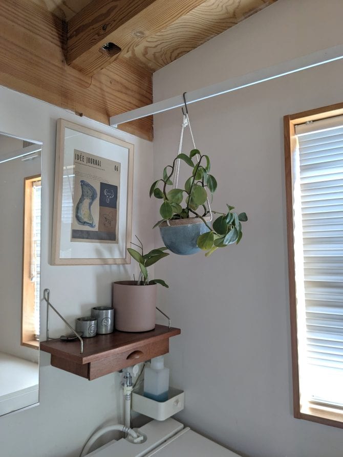 観葉植物をかけた洗面所のアイアンバー物干し　