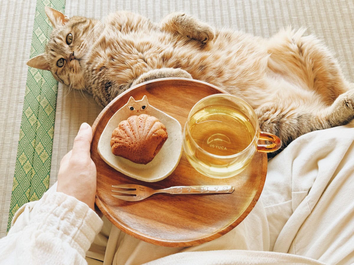 静かで落ち着く、ひとりの時間。ねことのんびりお茶タイム。