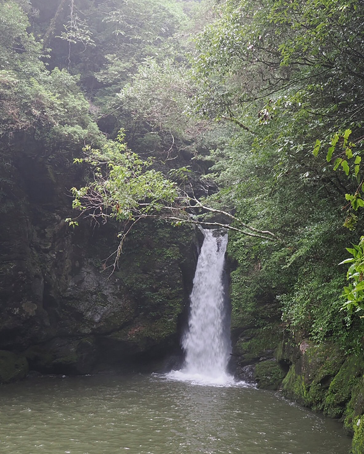 にこ淵(高知県)