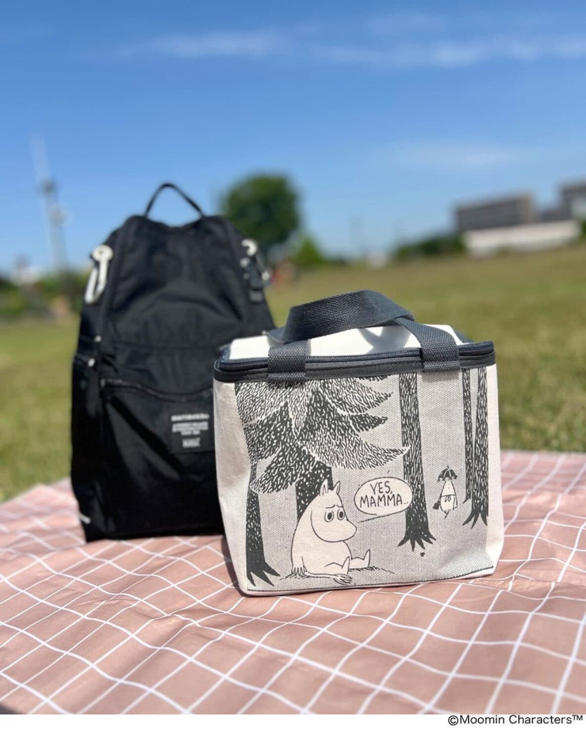 公園に持って行ったときに使用したリンネル7月号付録ムーミン保冷バッグ