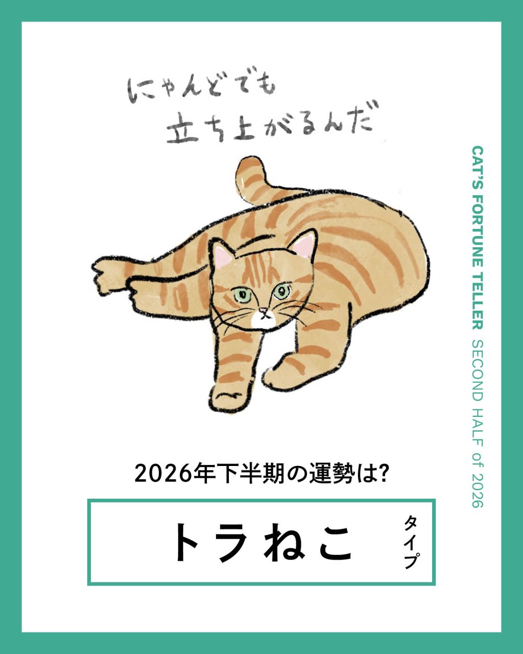 【ねこ占い・2026年下半期】 トラねこタイプの運勢と、人間関係の傾向や対策は？