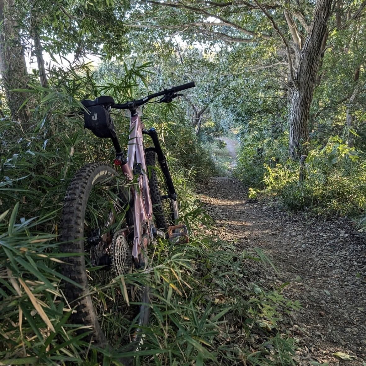 山の中の自転車