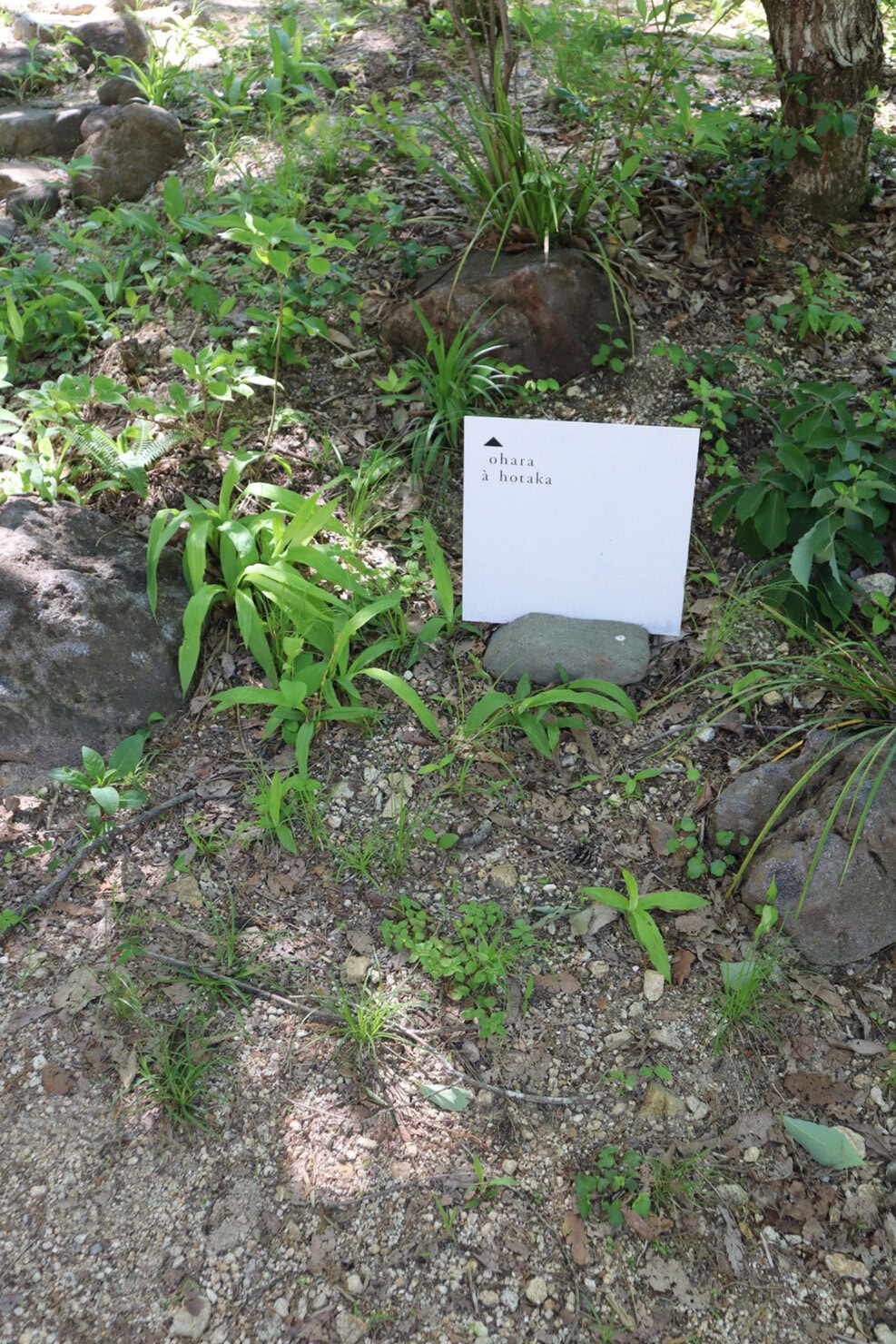 ohara a hotakaの看板