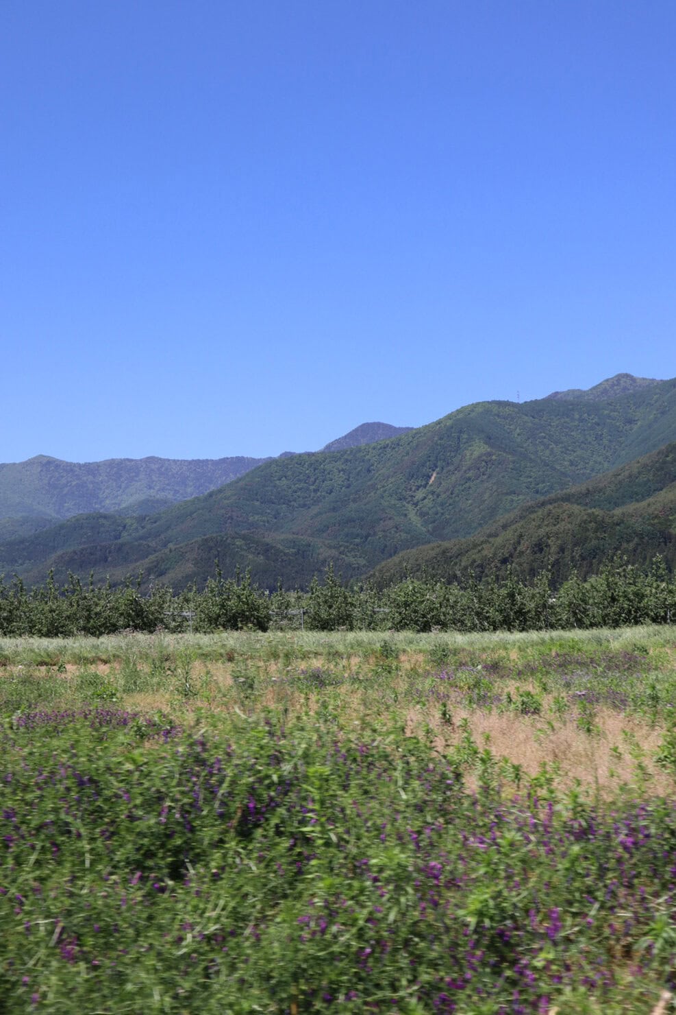 長野・安曇野のドライブ景色