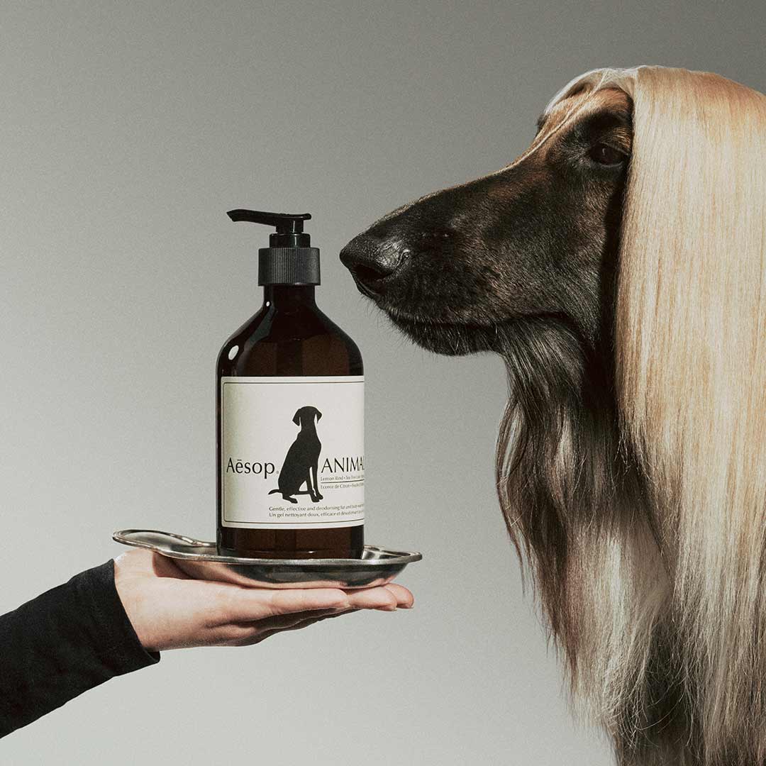 イソップのペット用洗浄剤アニマルのボトルと犬が一緒にいる