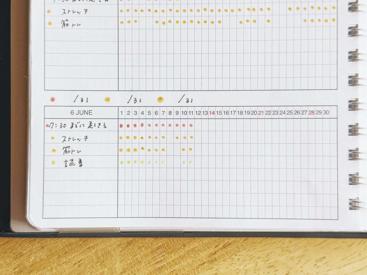 5月と6月を書き込んだハビットトラッカー