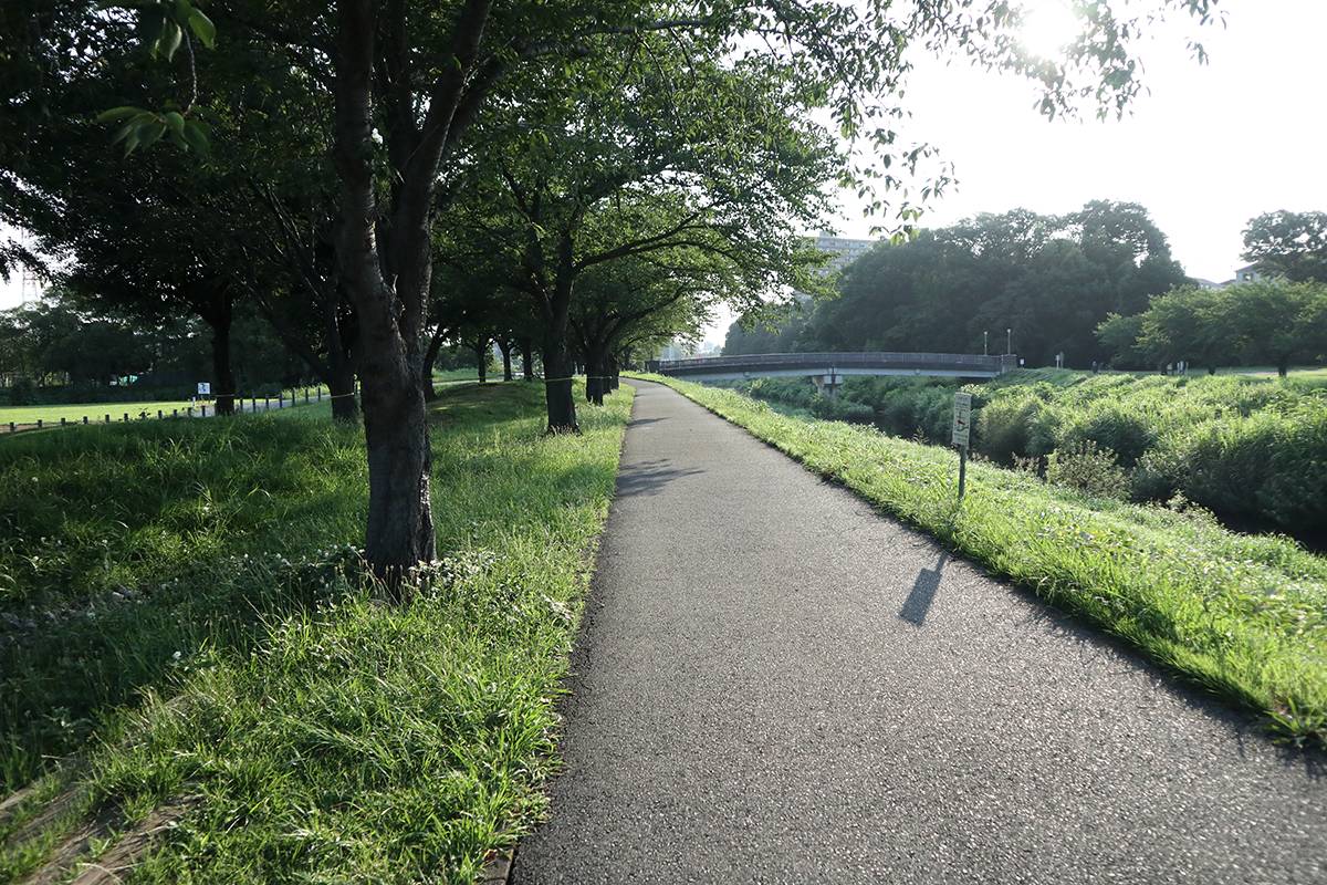 新緑が気持ちいい電動自転車で近所の遊歩道をさんぽ