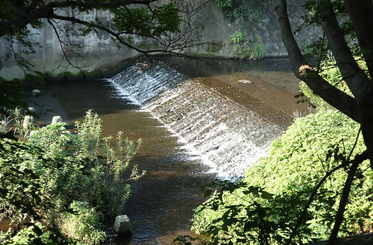 川からの風を感じながら電動自転車さんぽ