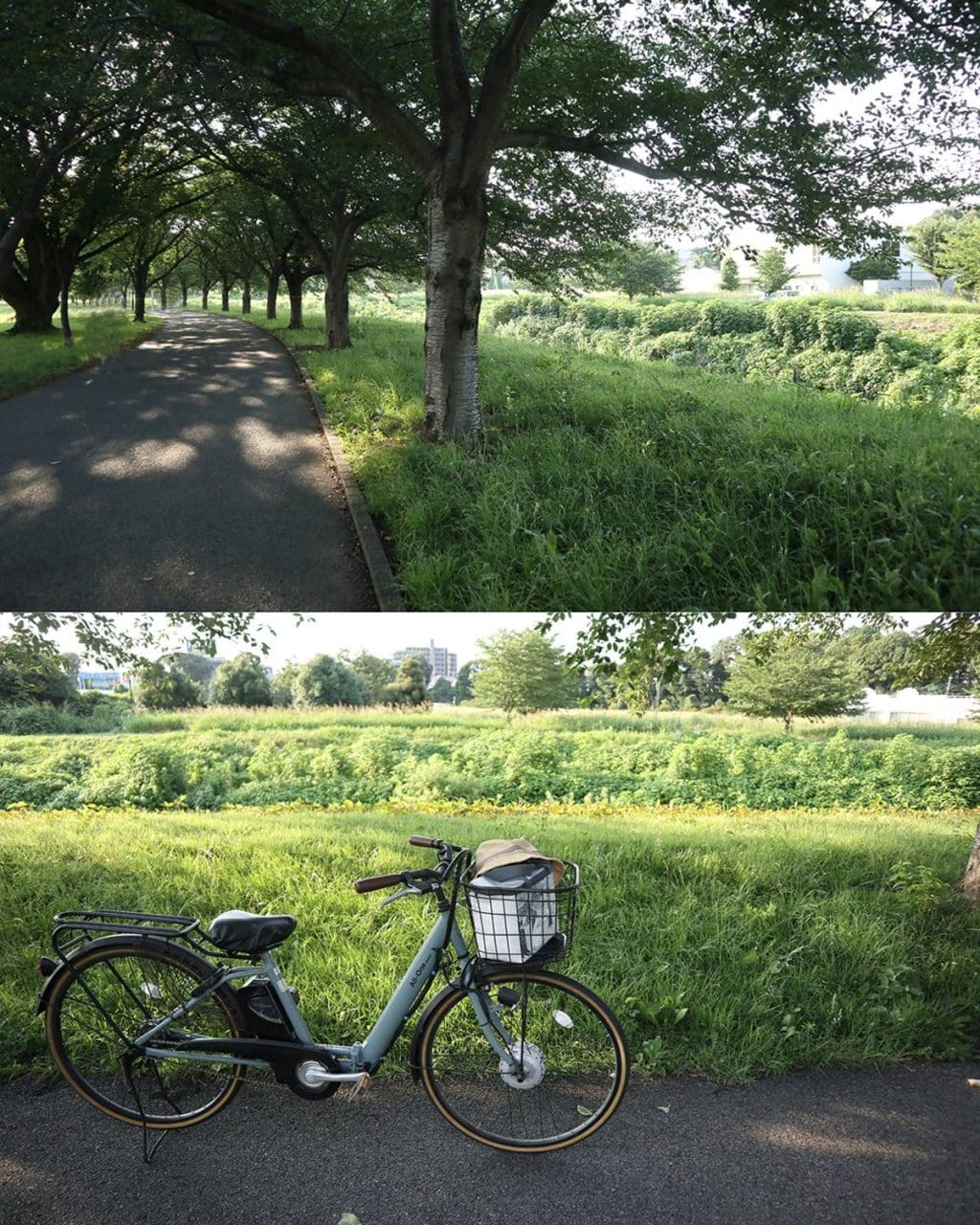 夏の朝のリフレッシュ時間。電動自転車さんぽと小さなごほうび