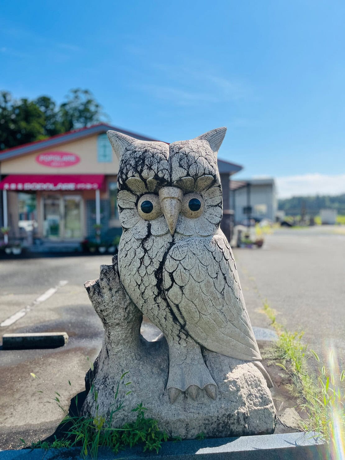 宮沢賢治の世界観が息づく花巻。地元の小学生によるアートやふくろうの像など、街歩きの途中にも見どころがたくさん。