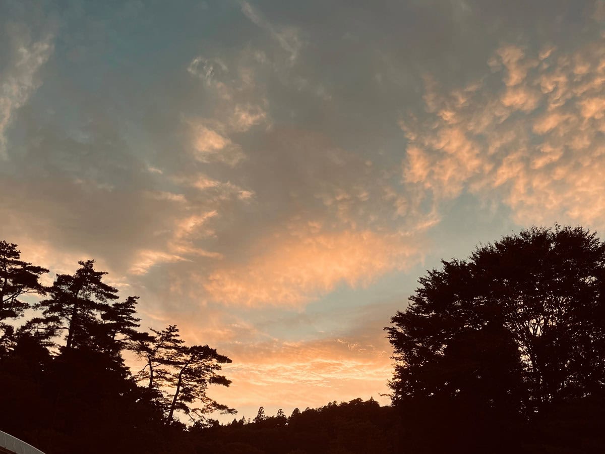 夕暮れの空が赤く染まり、会場が静けさに包まれるころ、映画上映の幕が上がります。