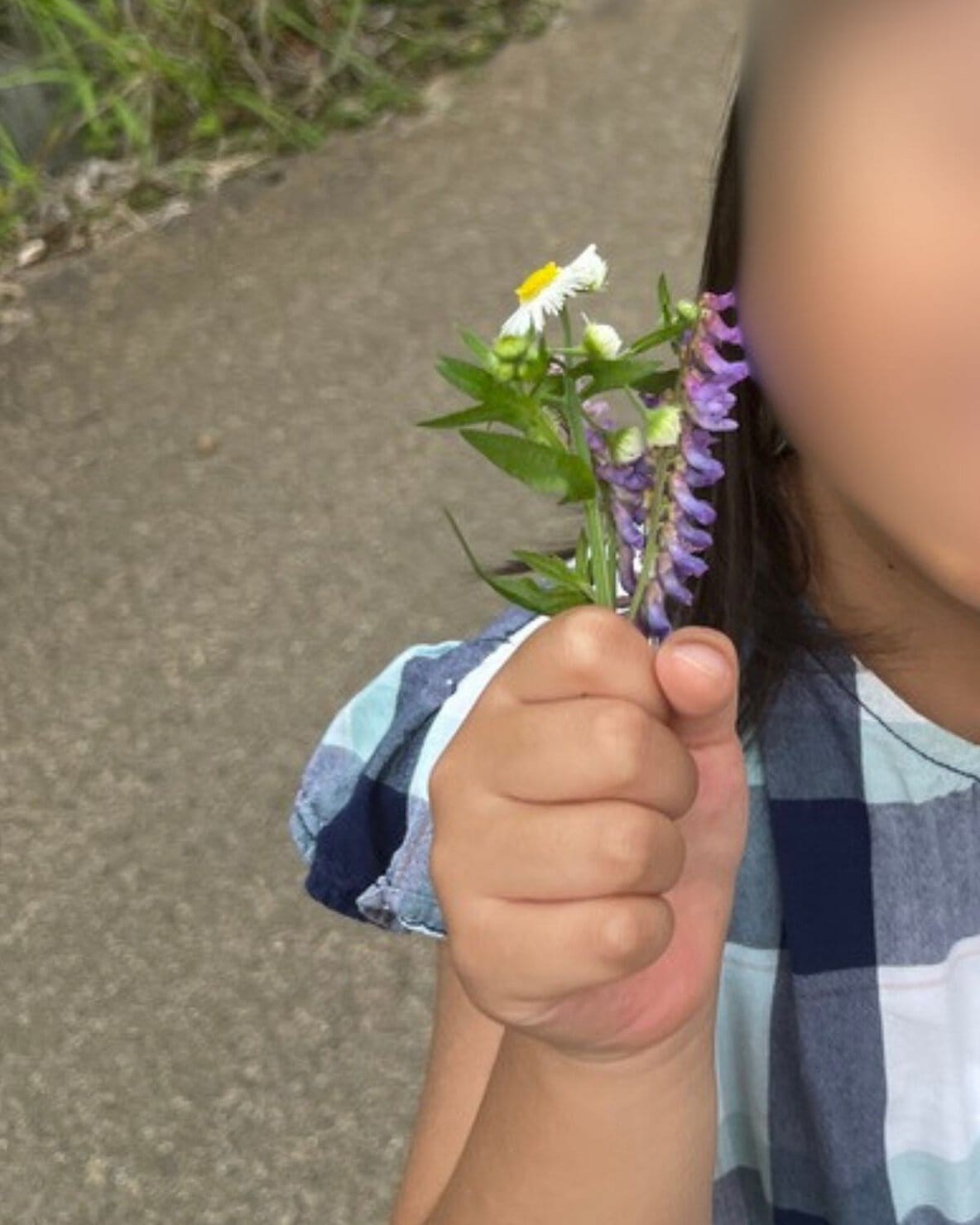 夏の散歩で見つけた草花をもつ女の子
