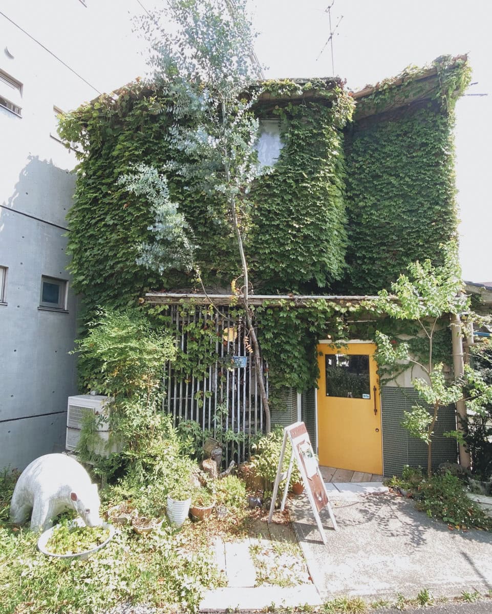 かわいい黄色の扉が目印のflamant（フラマン）さん。 夏は蔦がぐんぐん伸びて、お店がみどりいっぱいに。