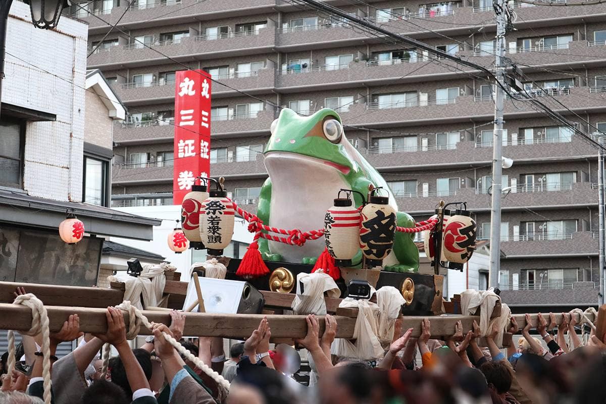 雨蛙みこし「野田みこしパレード」