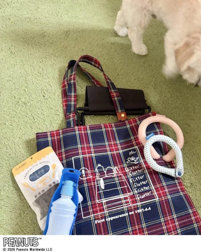 リンネル10月号付録スヌーピートートバッグにお散歩グッズを入れて愛犬とお出かけ