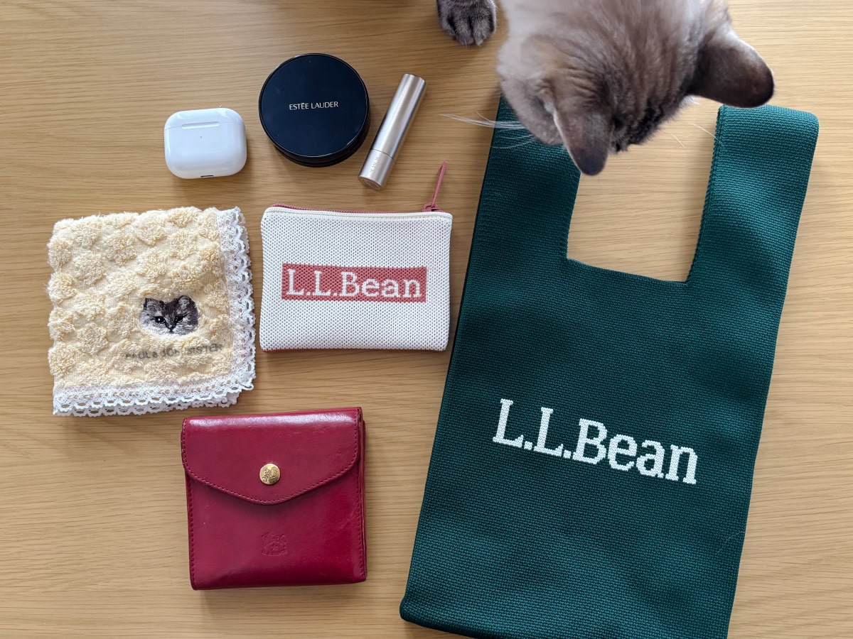 リンネル2026年11月号のL.L.Bean付録バッグにポーチや財布、ハンカチなどを収納