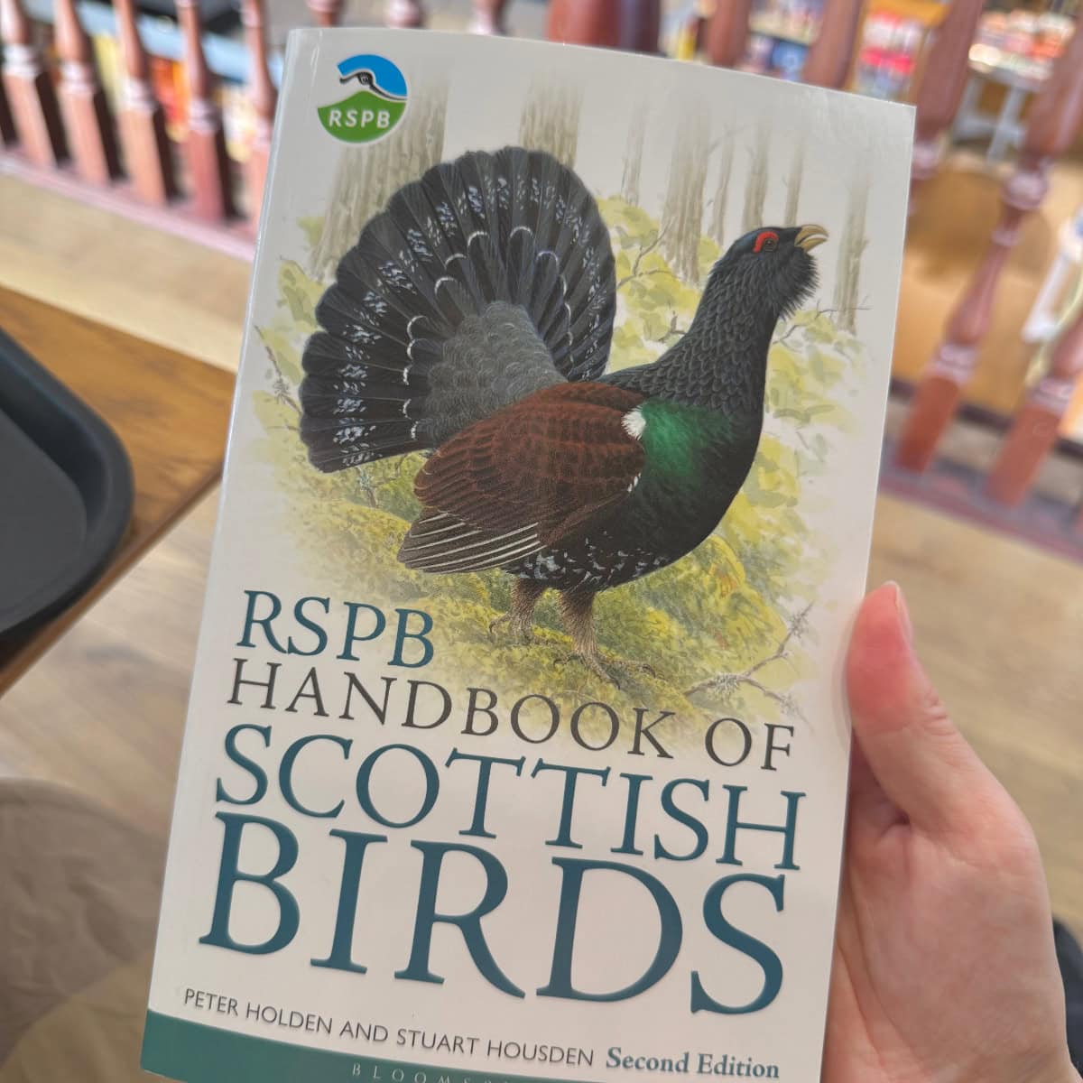 エディンバラの本屋さんwaterstonesで見つけた野鳥図鑑 RSPB Scottish Birds