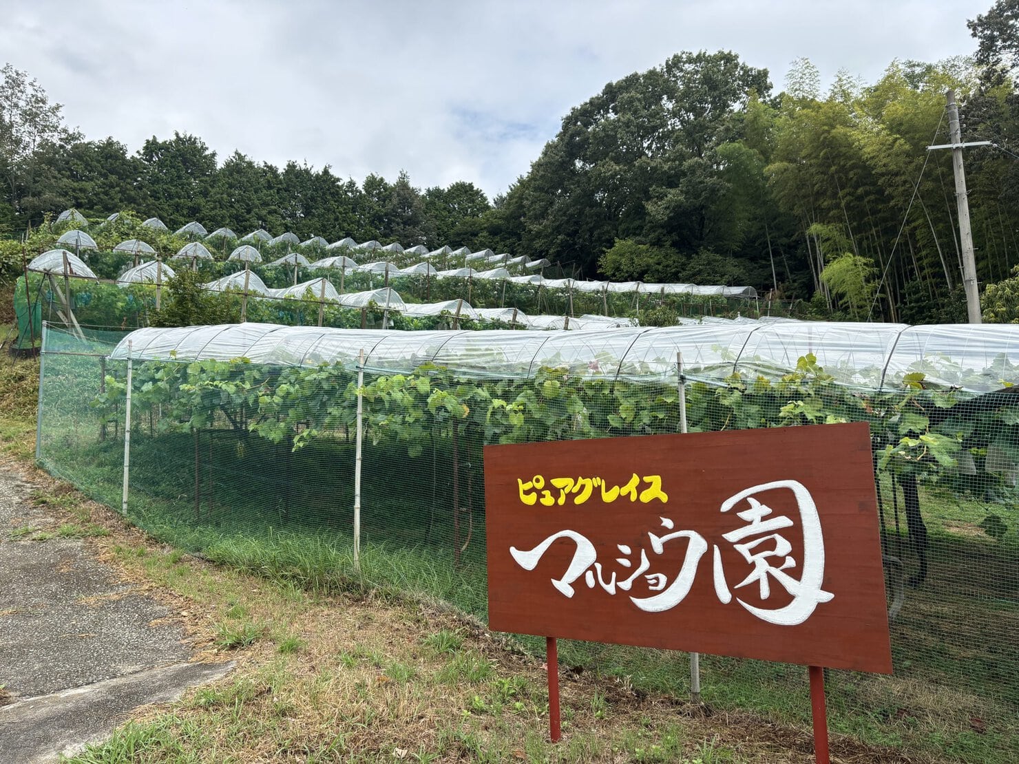マルショウ園畑