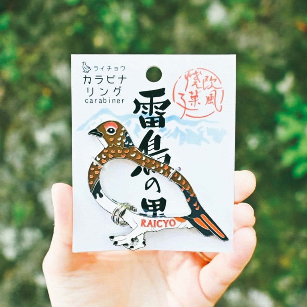 「雷鳥の里」のカラビナ