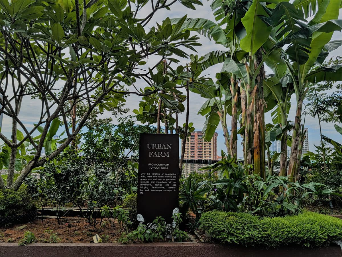 マレーシアの都会の中心で緑に癒やされるサステナブル・ホテル、PARKROYAL COLLECTION Kuala Lumpur(パークロイヤル コレクション クアラルンプール)。