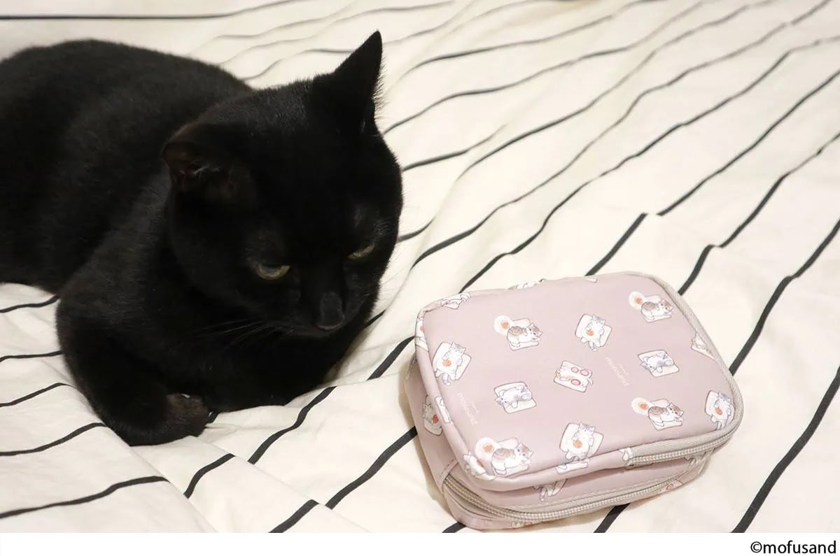 愛らしい猫のデザインがかわいいリンネル11月号付録mofusandモフサンドのポーチを見ている愛猫