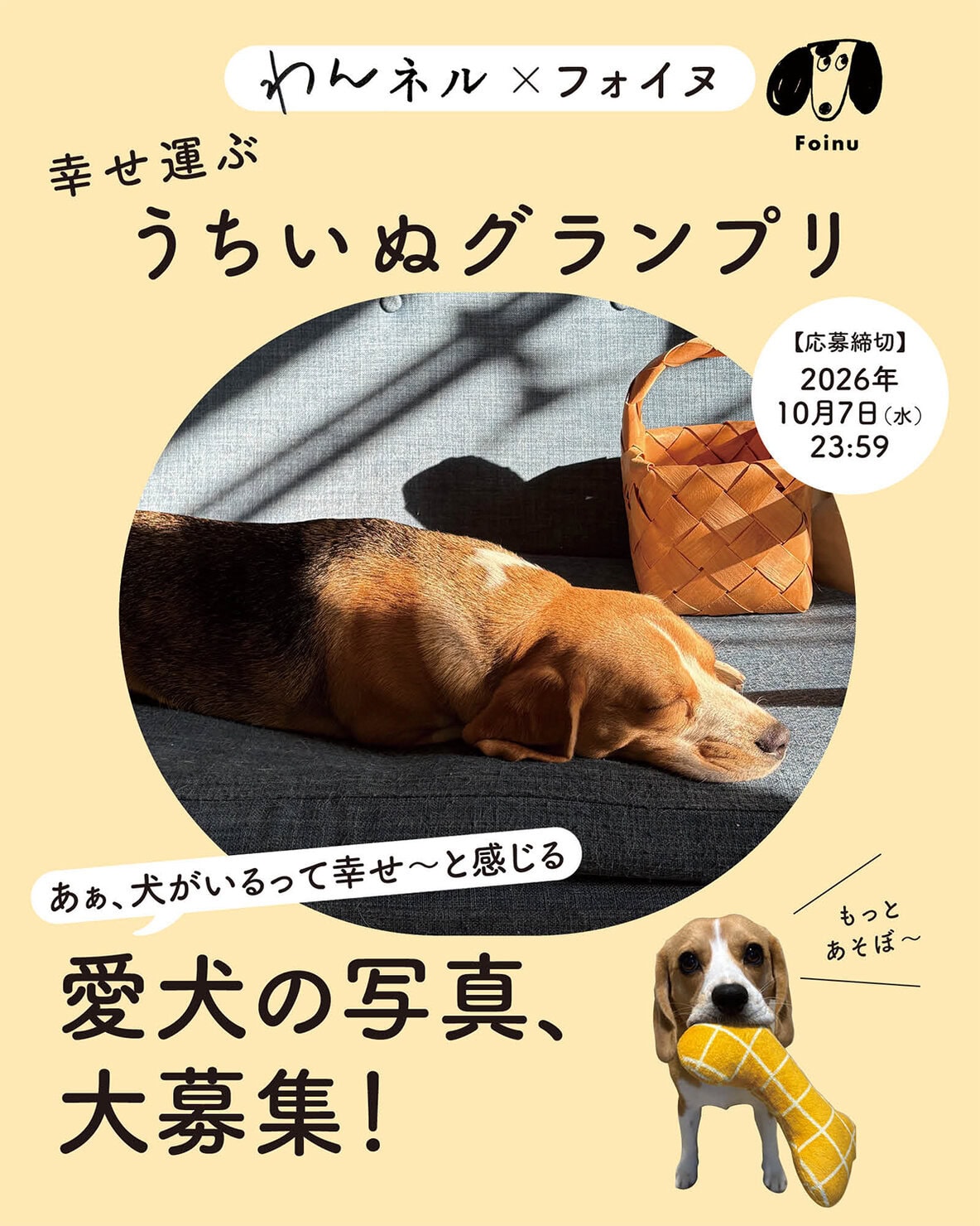 かわいい愛犬の写真大募集♡すてきなプレゼントが当たる！わんこのグランプリ開催中