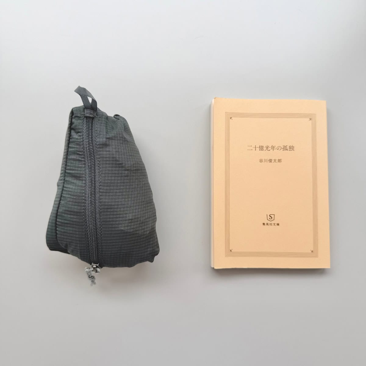 パタゴニア・フーディニ、Patagoniaウィメンズフーディニジャケット、ポケッタブル収納